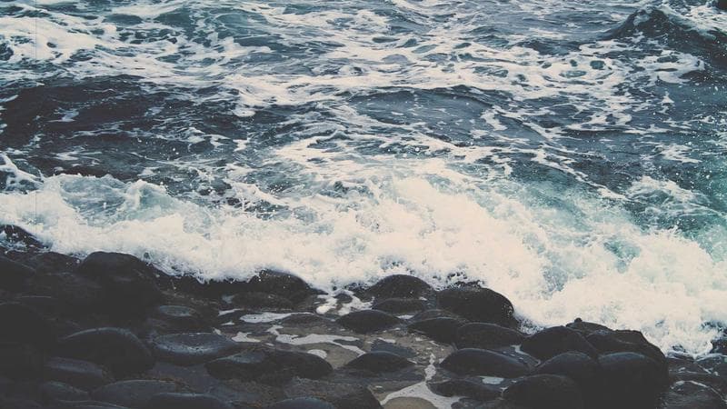 Dangdut Elektronik: Ketika Koplo Bertemu EDM di Festival Internasional